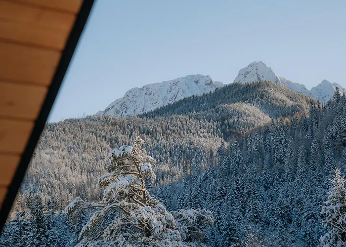 Tymianek & Melisa Kościelisko